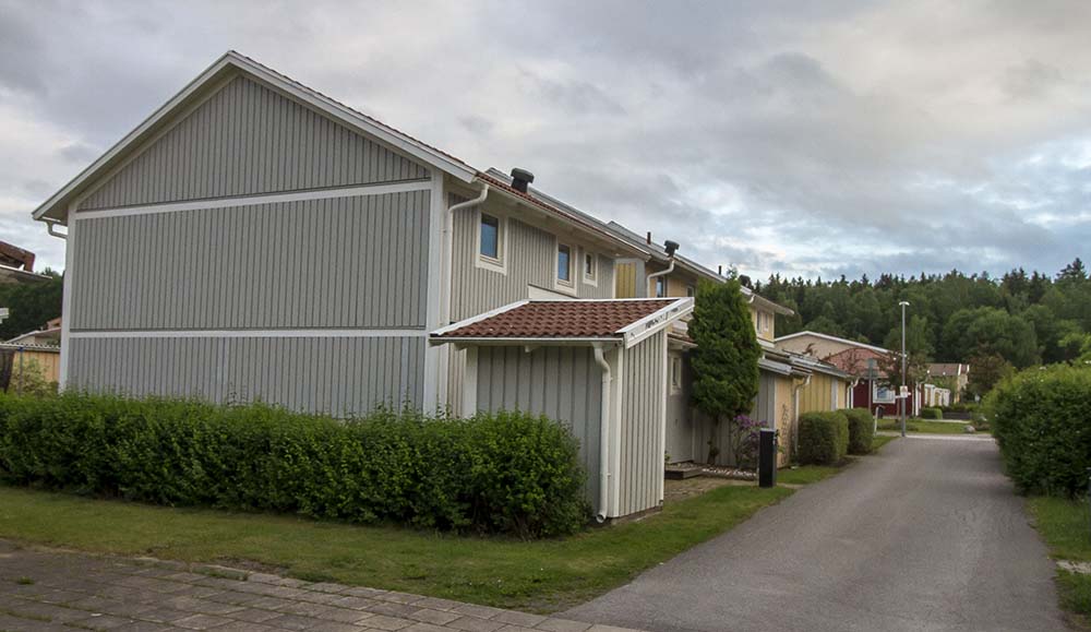 Träpanel